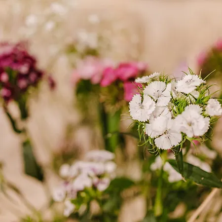 Pugliamare - L'ippocampo דירה *